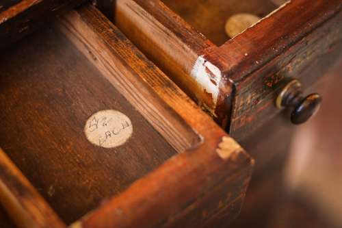 Extremely Rare Early 20th Century Horticultural Cabinet