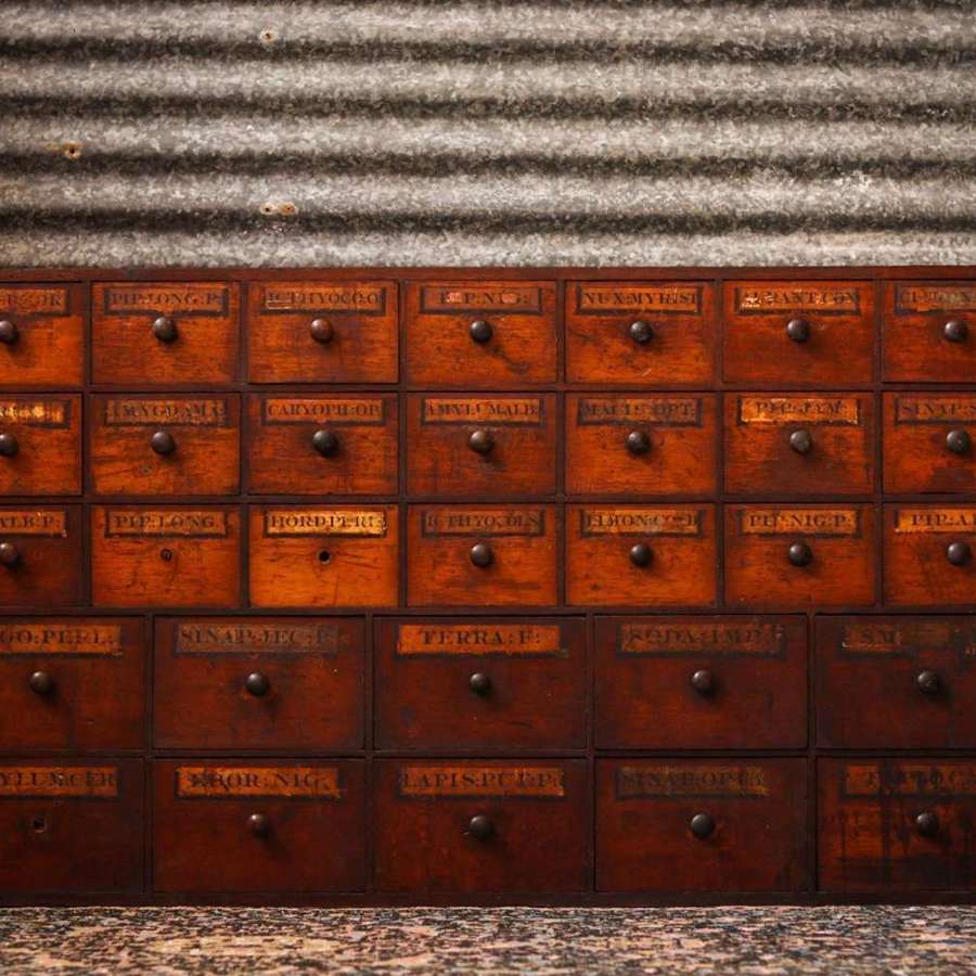 Early 20th Century Large Apothecary Cabinet