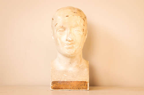 Rare Vago Phrenology Bust