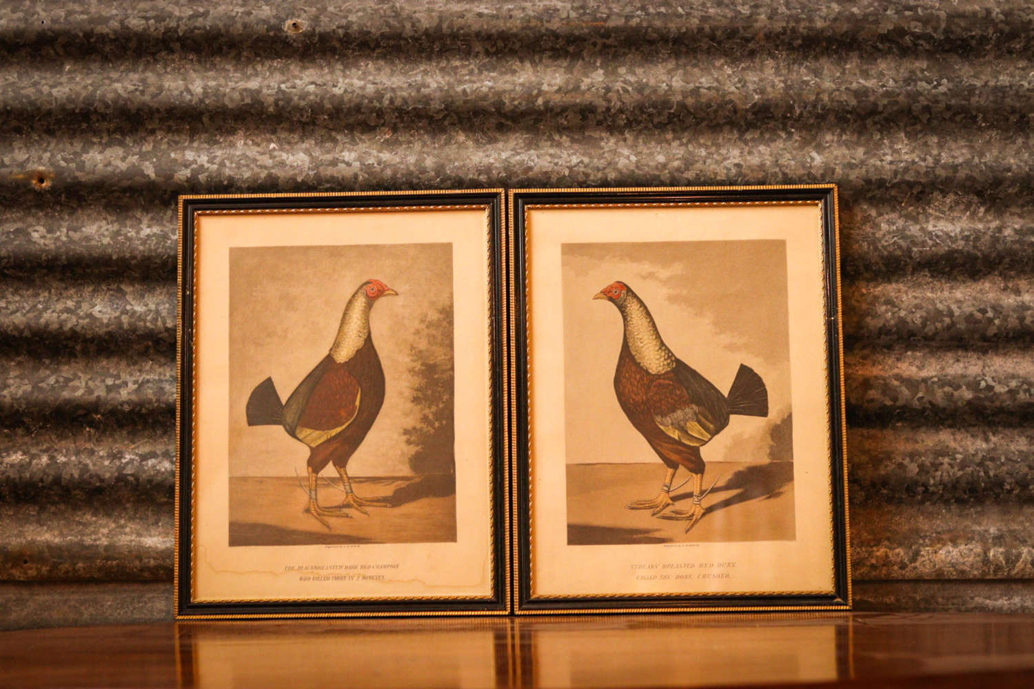 Pair of cock fighting pictures