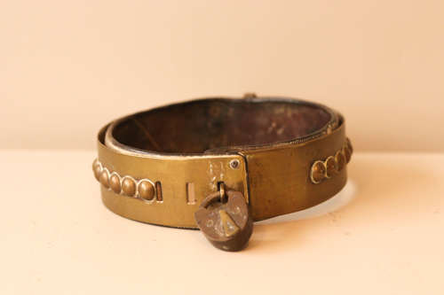 Brass Dog Collar with Leather