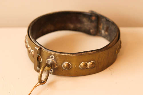 Brass Dog Collar with Leather