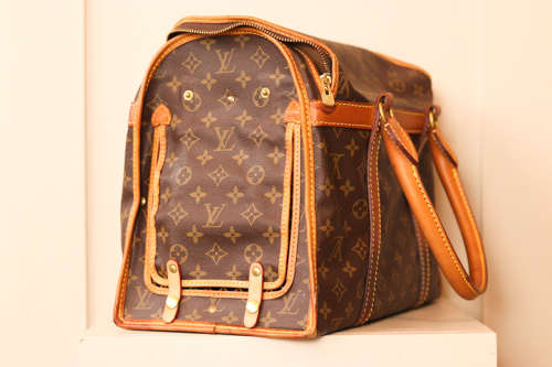 Louis Vuitton Pet Carrier