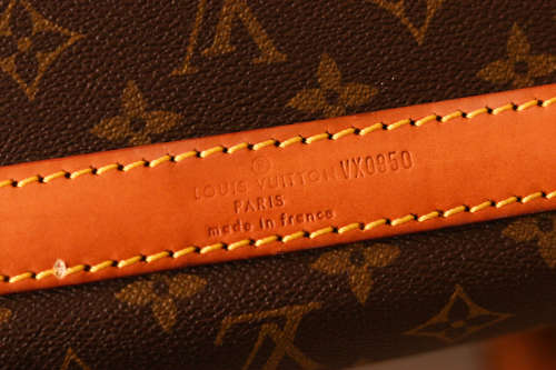 Louis Vuitton Pet Carrier