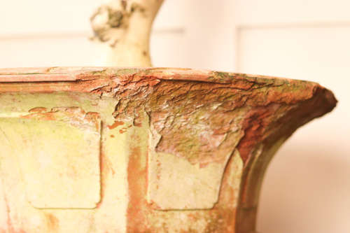 Pair of terracotta planters with olive trees